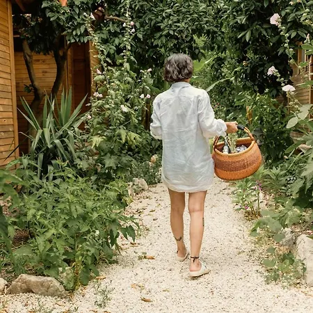 Alloggio in famiglia Sheriff, Olympos